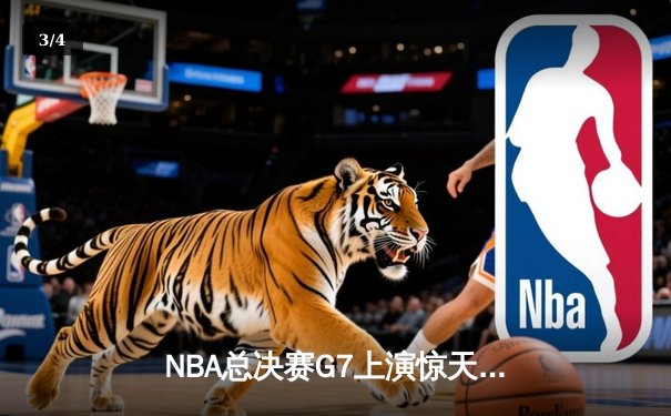 NBA总决赛G7上演惊天逆转 掘金加时险胜热火卫冕成功 - 3